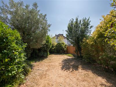 Picture 21